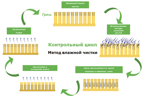 контрольный цикл Метод влажной чистки